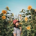 tiara.lestari