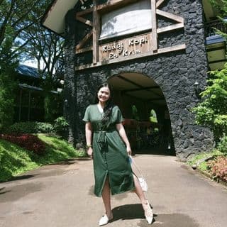 dewiins