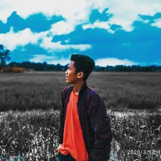 petong1801