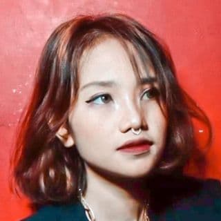 lisdaa.apr
