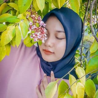 bitahchan_