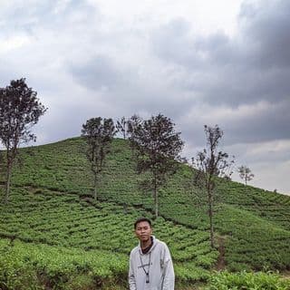 t.hrmwn07