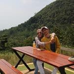 triobudi_s