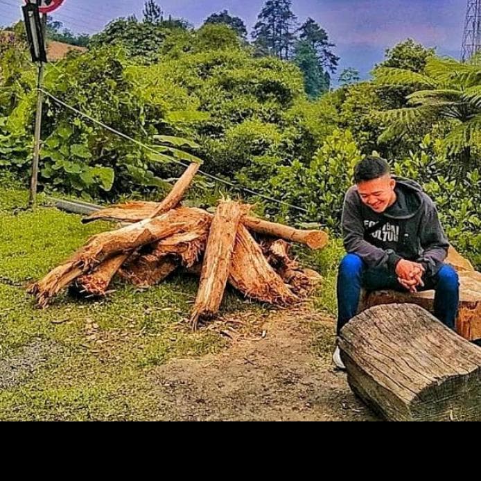 faisalalraisy