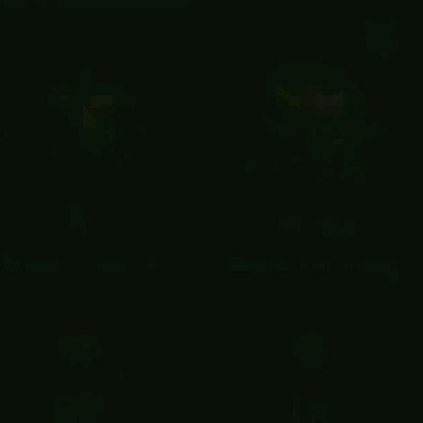 d1nn.16_