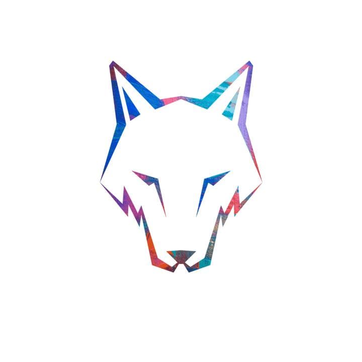foxwithmusic