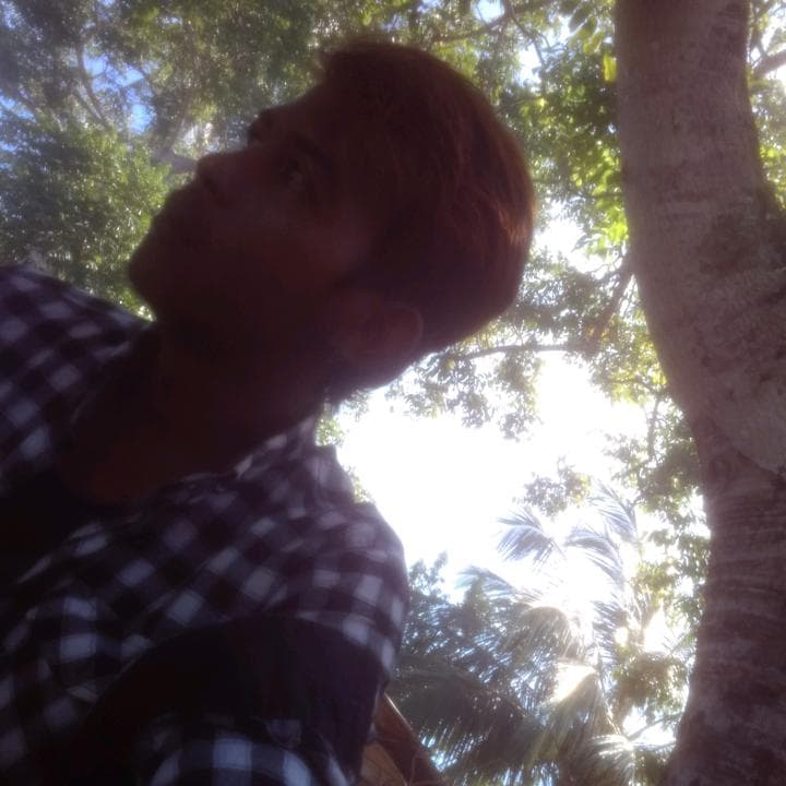 adjigaming638