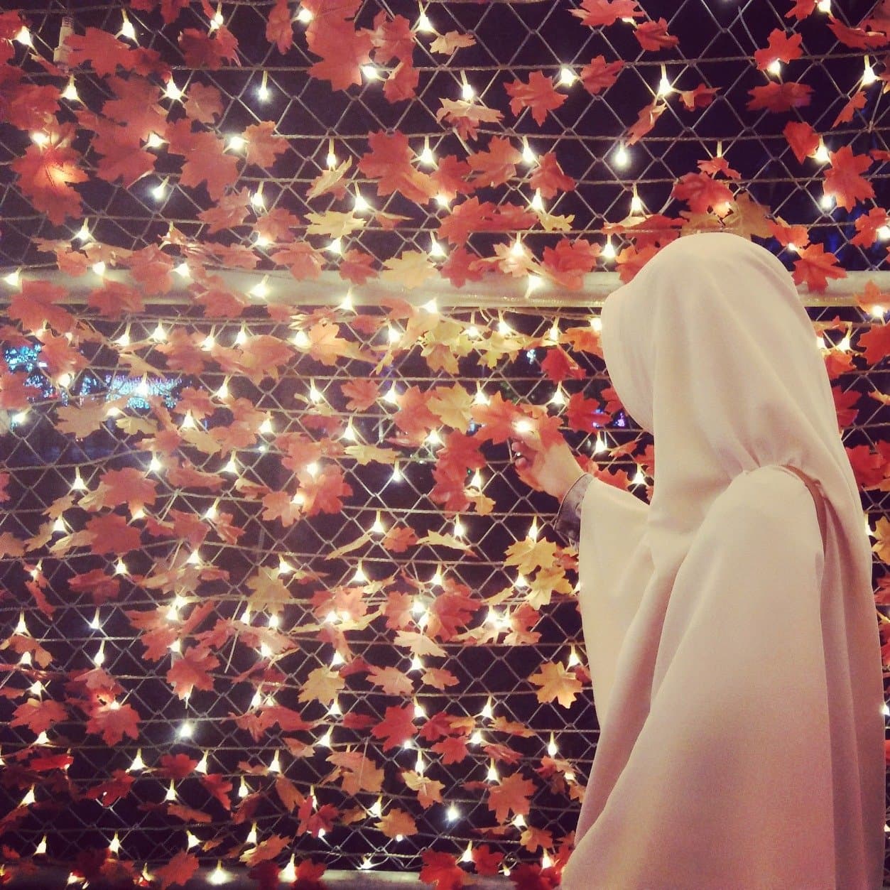 _mall15