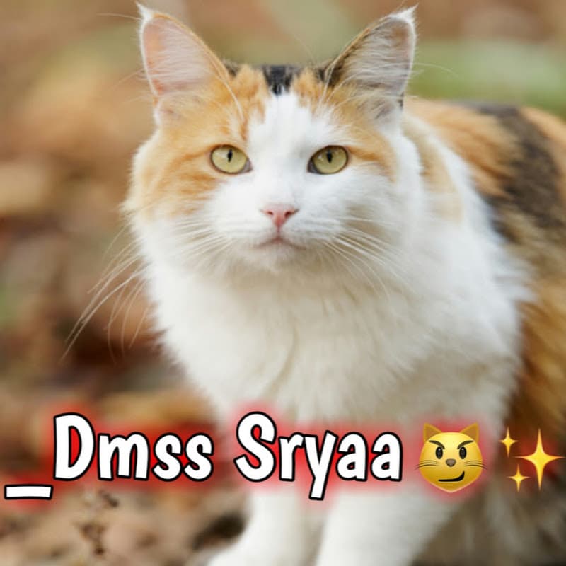 Dmss Sryaa