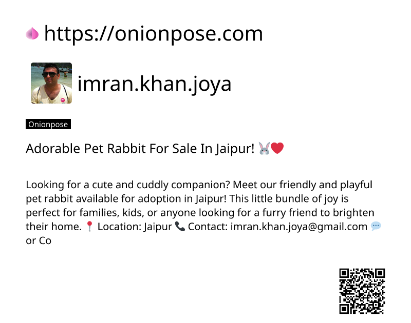 adorable-pet-rabbit-for-sale-in-jaipur