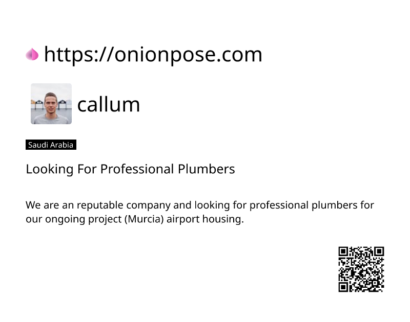 looking-for-professional-plumbers